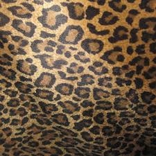 Ludemila estrella *tudo que amo*